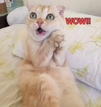 Load image into Gallery viewer, Fadkeys< 50% OFF>Free shipping - Crystal Auction Time《 95%recommend buying》