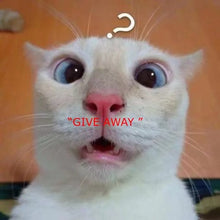 Load image into Gallery viewer, Fadkeys< 50% OFF>Free shipping - Crystal Auction Time《 95%recommend buying》